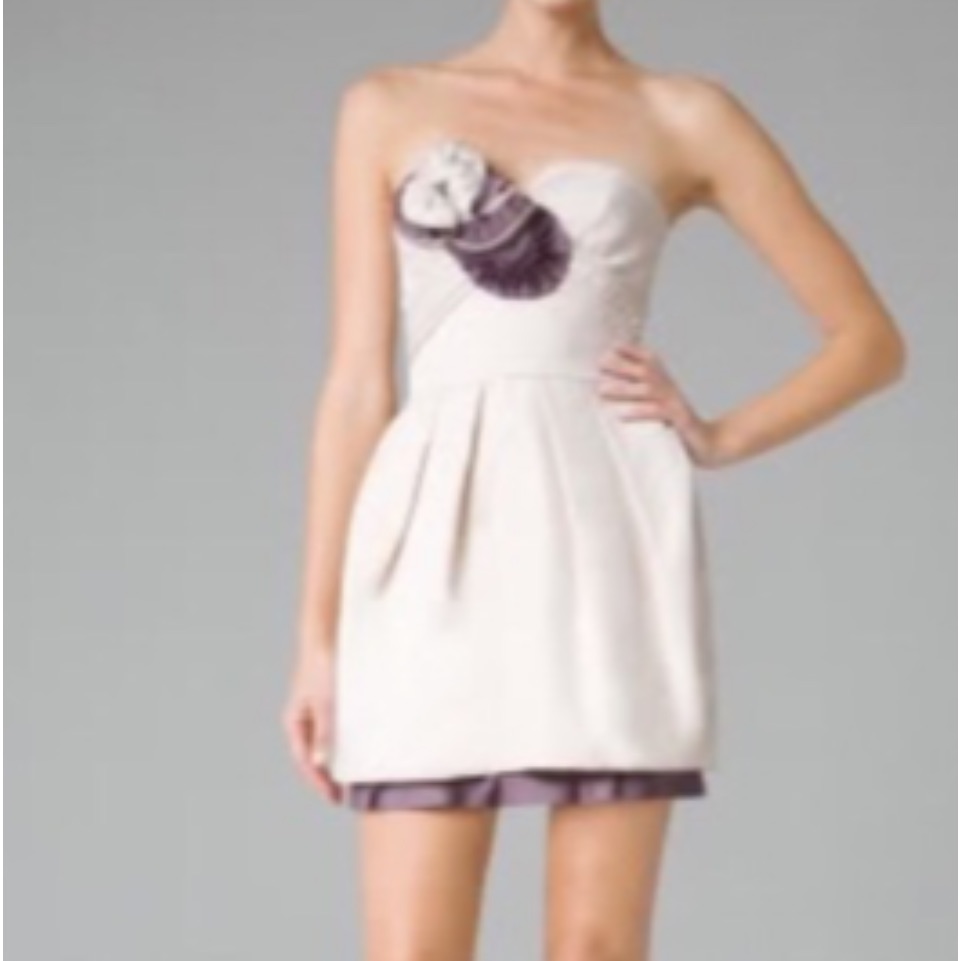Bcbg Runway Collection Mini Dress
